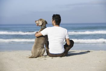 vacationing with your dog